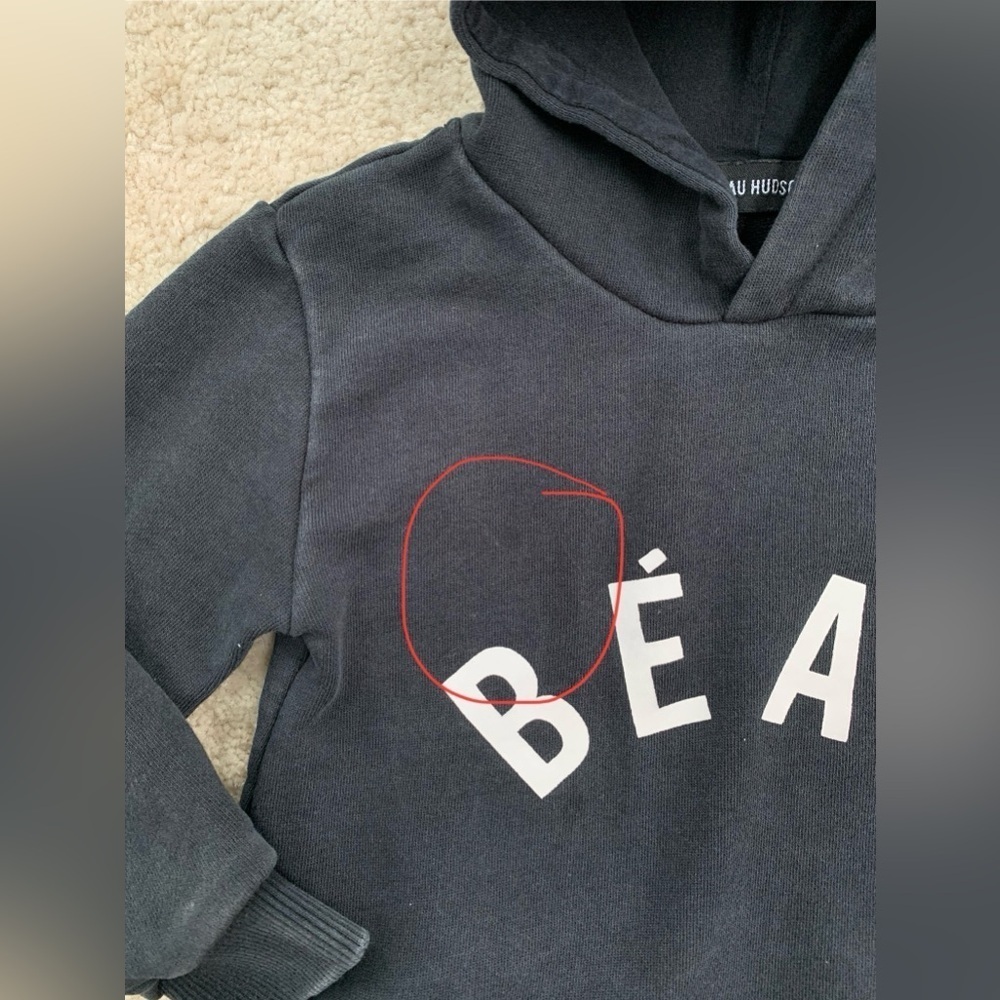 Beau Hudson Size 2 Distressed Hoodie - Picture 6 of 6